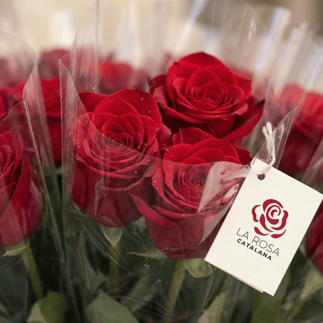 Roses Red Naomi premium amb etiqueta La Rosa Catalana