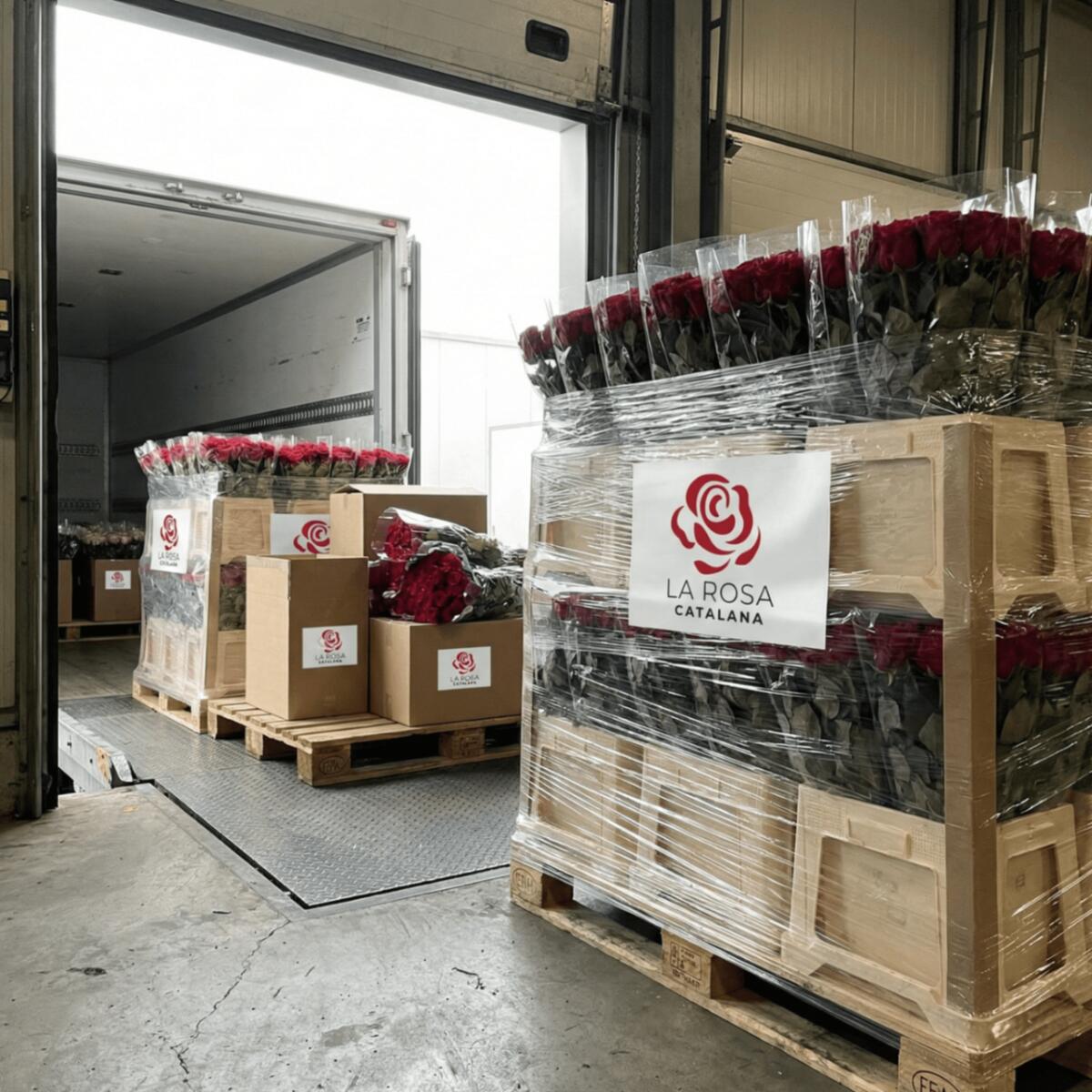 Càrrega de roses al camió refrigerat