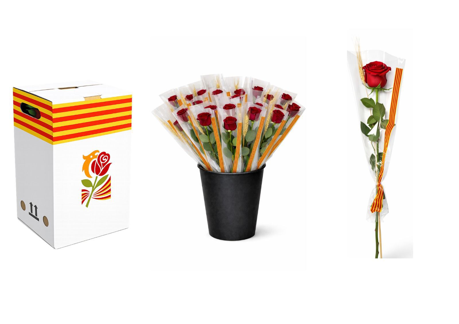 Pack de roses Sant Jordi - capsa, galleda i rosa preparada