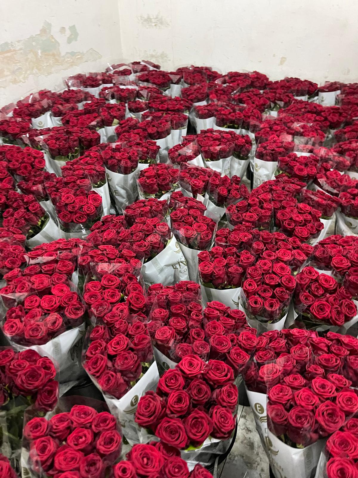 Roses a l'engròs - Eixample