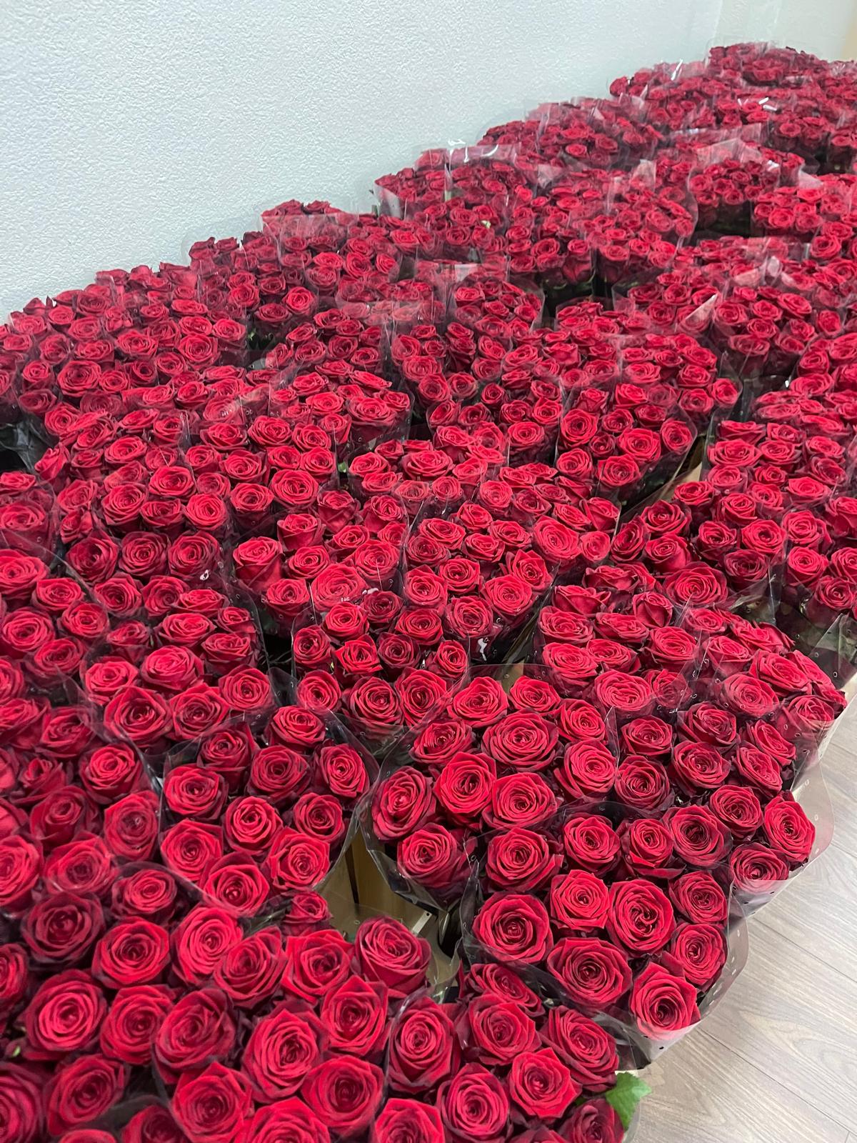 Gran quantitat de roses - Eixample