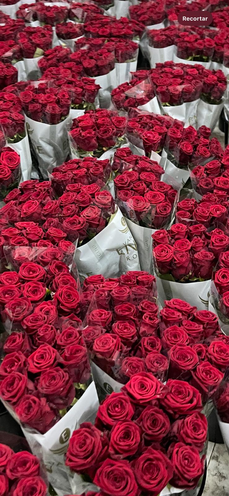 Distribució provincial - Tarragona