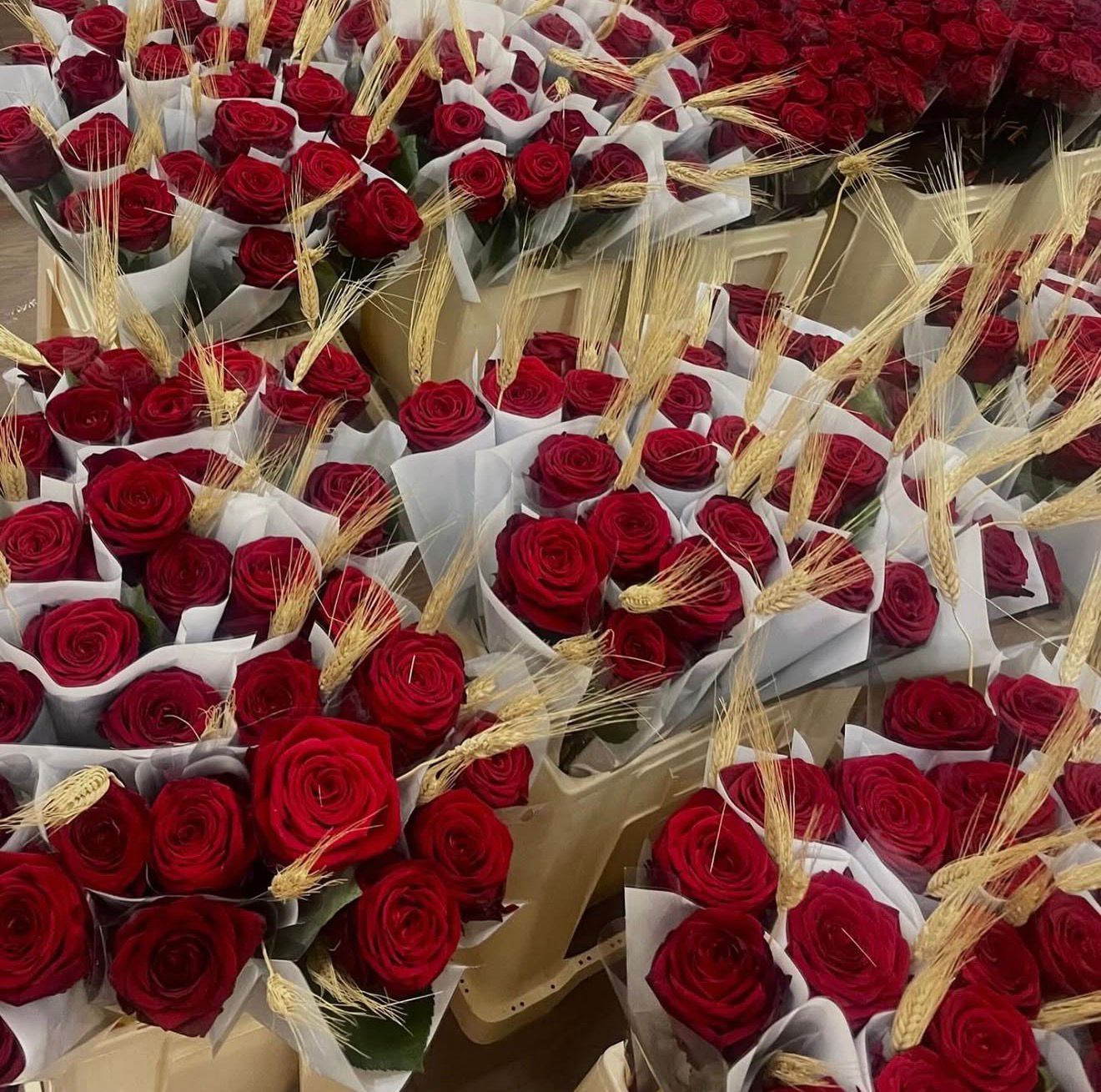 Roses amb espigues preparades