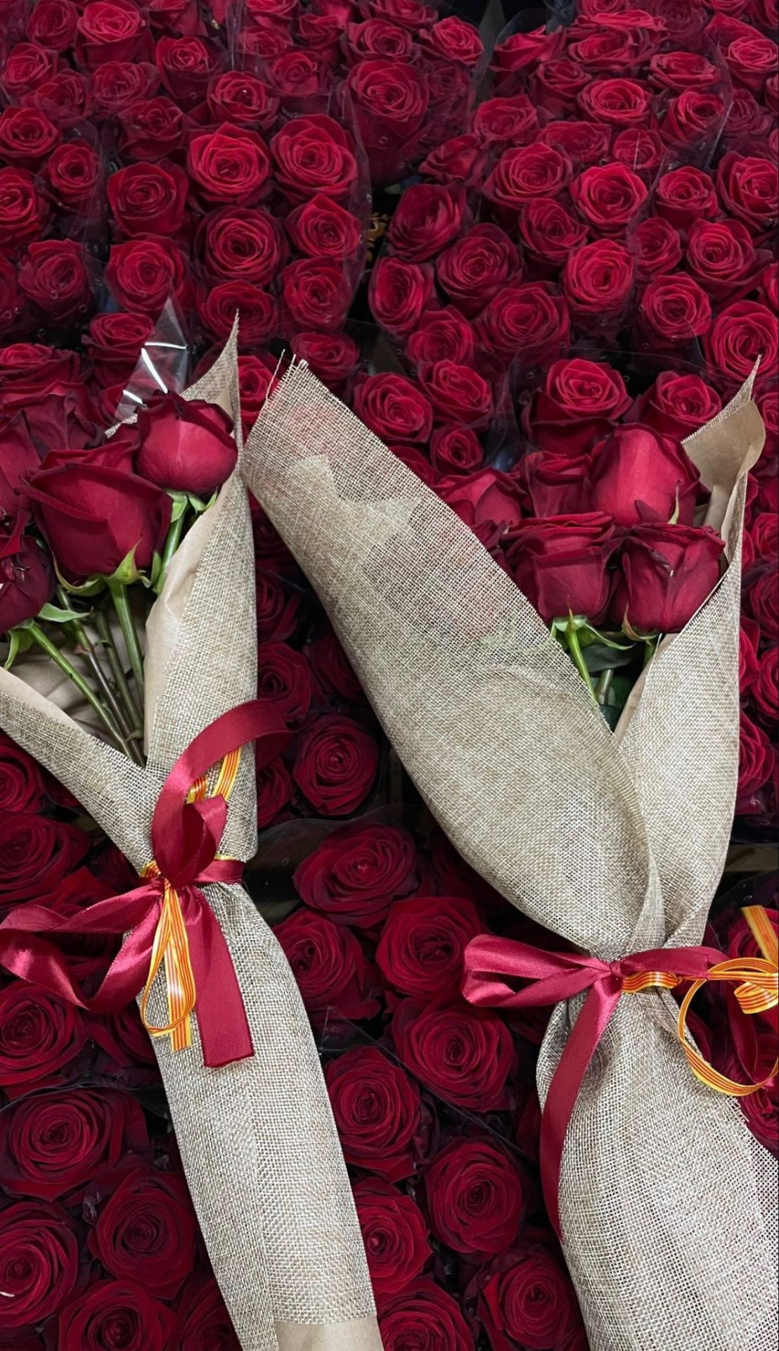 Roses embolicades - Sant Gervasi