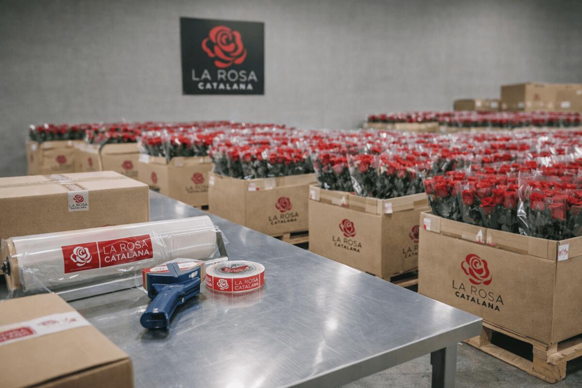 Zona d'embalatge amb material de marca